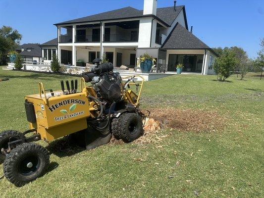 Stump grinding a tree Stump. We provide Stump grinding service in Tulsa and surrounding areas.