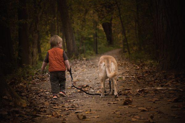 Fall is a great time to have photos taken with your fur babies.