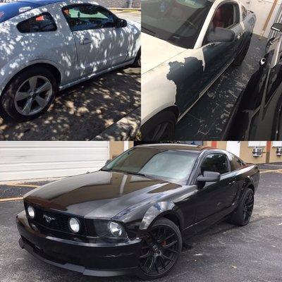 This Mustang was poorly plasti dipped and was wrapped in a gloss black.