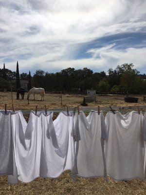 Solar dryer at the farm