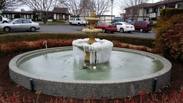 Frozen fountain at the 5th!