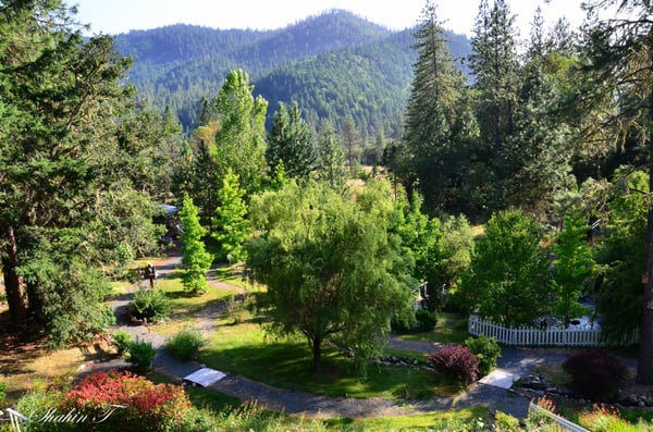 View off the balcony of Flery Manor