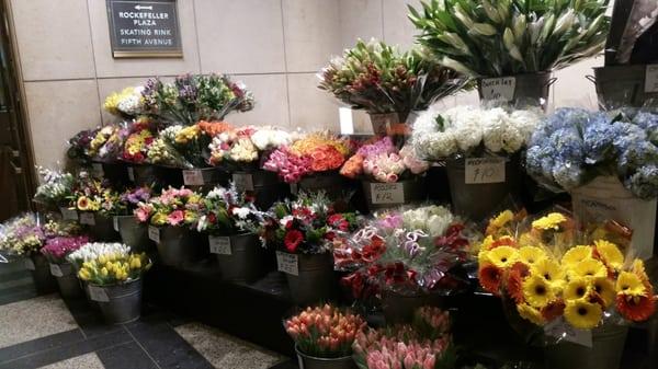 Display fo fresh cut flowers