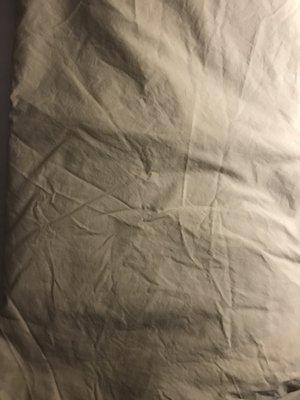 Wrinkled Sheet