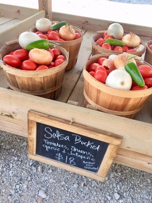 Who's ready to salsa? This basket is ready to roll.