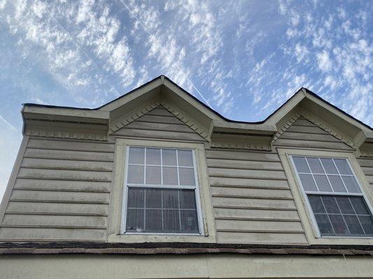 Vinyl siding soft wash