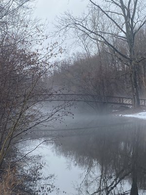 Old Mine Park mist