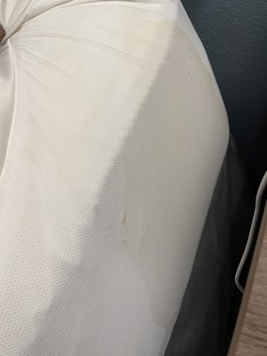 Mattress pad gross and/or stained