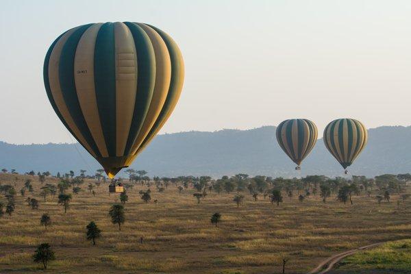 Serengeti Hot Air Balloon Safari