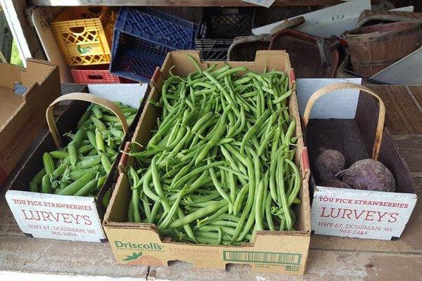 Rasmussen Farm Market