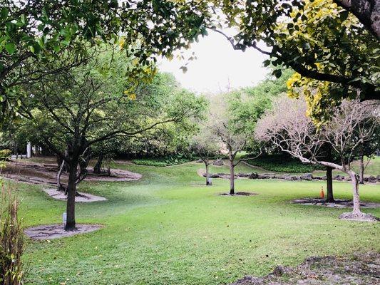 Schenley Park