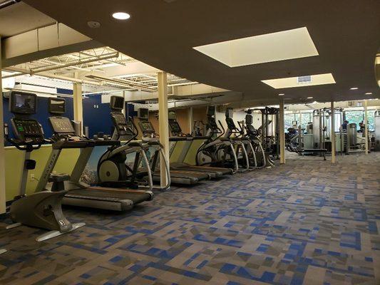 Cardio Equipment