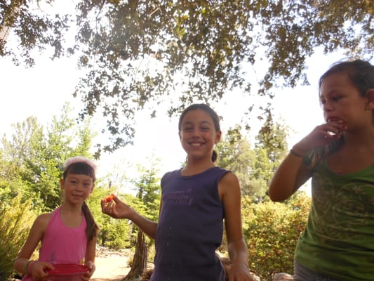 Exposing children to nature not only fosters care and reverence for the environment but also helps children learn life science concepts.