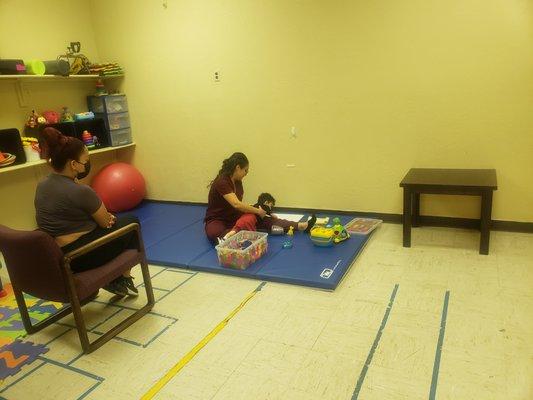 Occupational therapy services and physical therapy services.