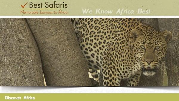 Best Safaris | Memorable Journeys to Africa