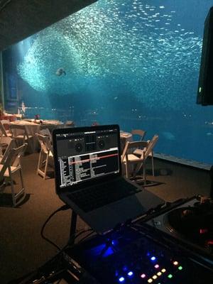 Set up for the Clark-Jablonski Wedding at the Monterey Bay Aquarium.