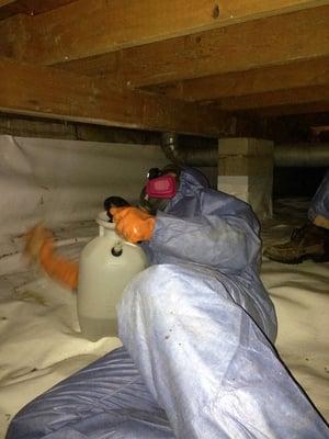 Crawlspace Remediation LLC