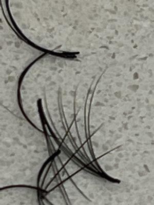 Deka Lash OH-Akron-Fairlawn