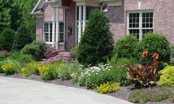 colorful perennial garden