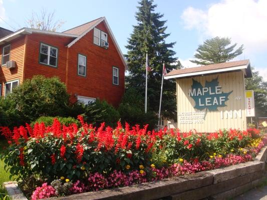 Maple Leaf Inn