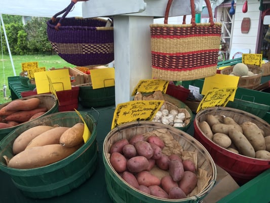 The Large Baskets are also available for Purchase