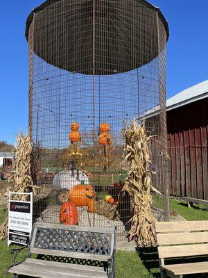 Hidden Trails Corn Maze