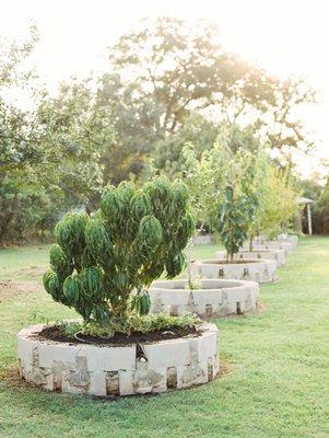 Kitchen Garden Orchard