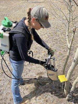 Tree fertilizer time!