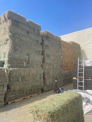 Hay!