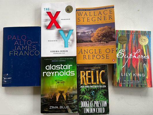 The books Palo Alto, The XY, Angle of Repose, Euphoria, Zima Blue, and Relic