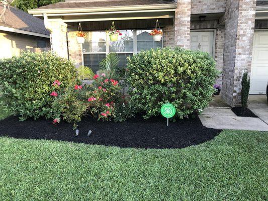 Flowerbed cleanup and lawn cut & trim