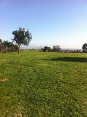 Baldwin Hills Conservancy