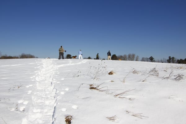 2/9/14 snowshoeing with family