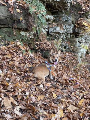 My dog posing at the base of some of the rocks!