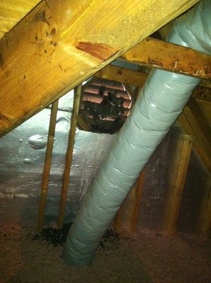 Bats roosting in gable vent. (Notice all the guano below them)