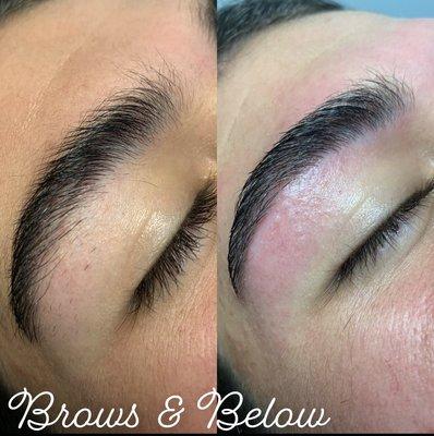 Eyebrow Wax $20