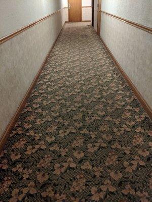 The rug in the halls is ancient the smell radiates through the hallways with no circulation in the building.