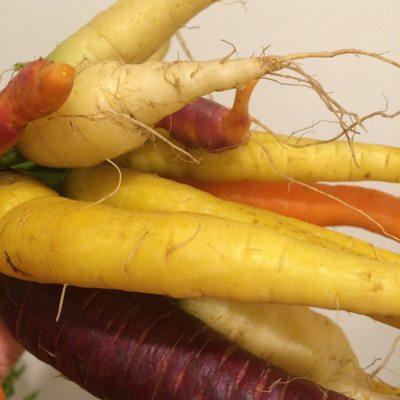 Rainbow carrots