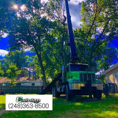 Crane Rentals.  Quinlan Tree Service.