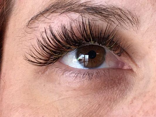 Volume lashes with a colored lash add in