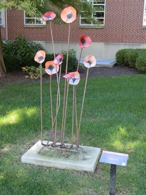 Stand of Poppies by Jennifer Meyer