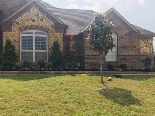 Complete install with stone border