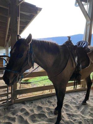 Friends of Elk Run Trails