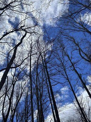 Goodyear Heights Metro Park