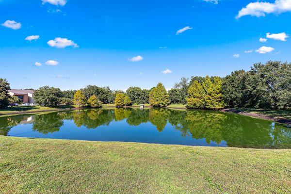 Charming pond