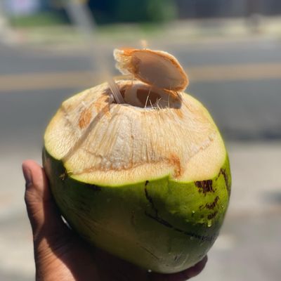 Coconut Water