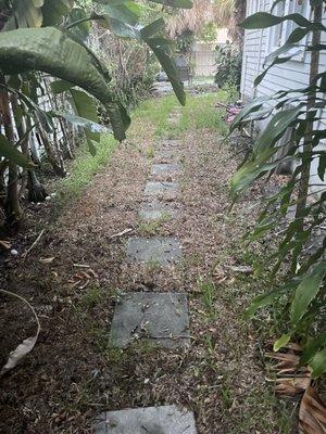 Dead sod 4-6 weeks after installation. Watered every day first 30 days as instructed. $1200+. If I could go back in time.