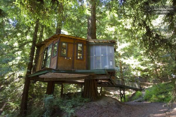 Redwood Tree-house Santa Cruz Mtns.. $125 per night. Hot tub!