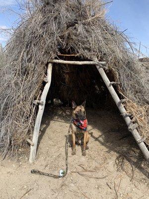 Oh- a teepee? I'm in!