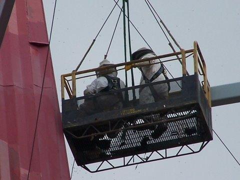 Angel Stadium Bee Removal